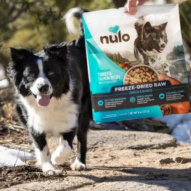 NULO FRZ DRY TRKY/SLMN 18oz