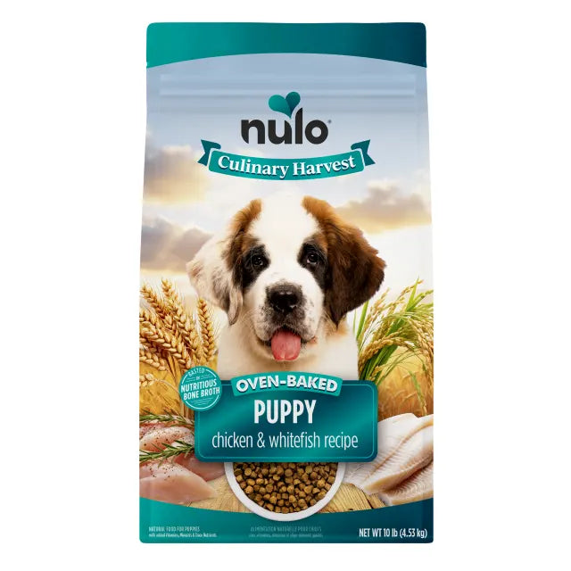 NULO CULINARY PUP CH/WHFSH 10#