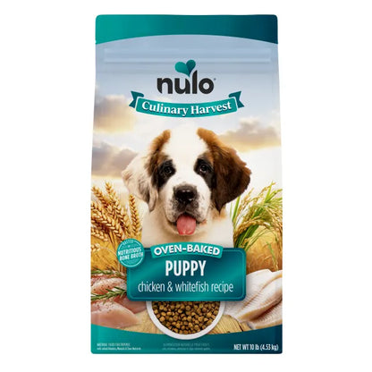 NULO CULINARY PUP CH/WHFSH 10#