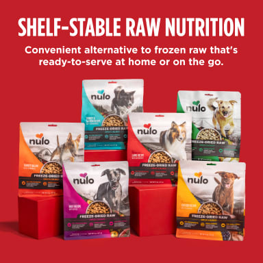 NULO FD RAW CHKN/BLBRY 18oz