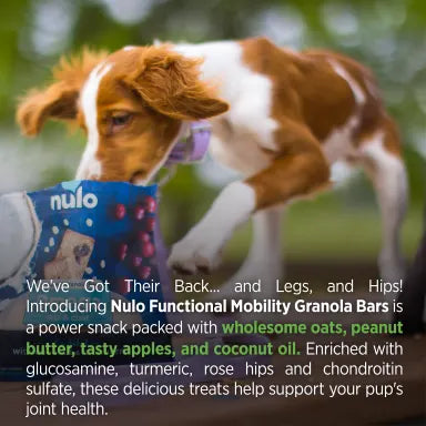 NULO GRANOLA PB/APP MOBILITY