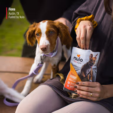 NULO DUCK TRAINING TREAT 16Z