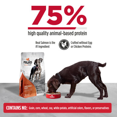 NULO LB PUPPY SALMON/TURK 24#