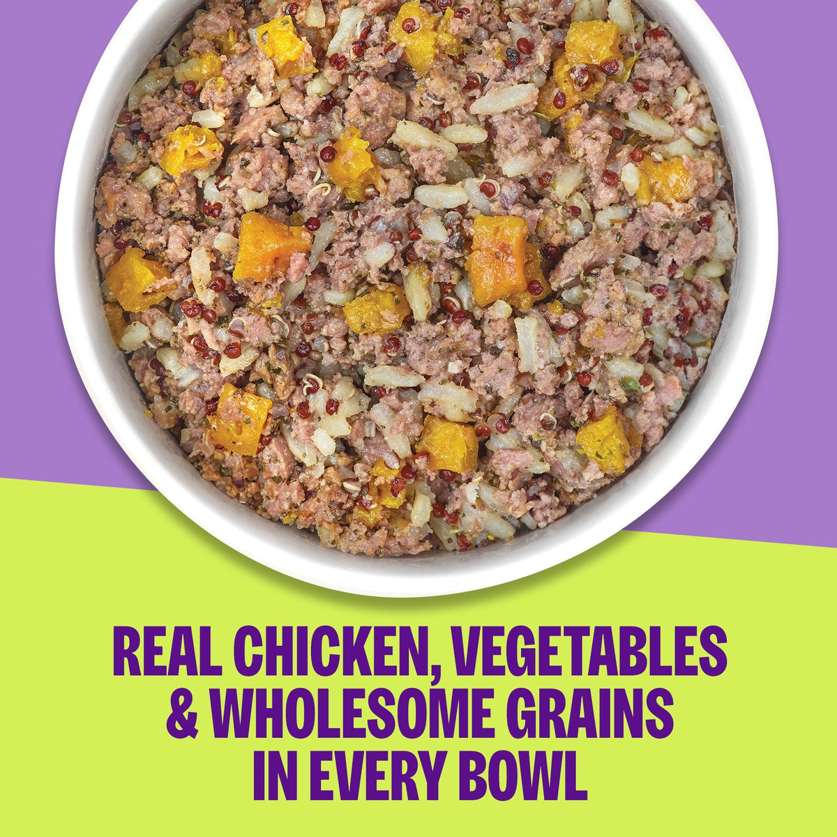 WELLNESS CH QUIN BOWL 6.2Z - RJ Paddywacks