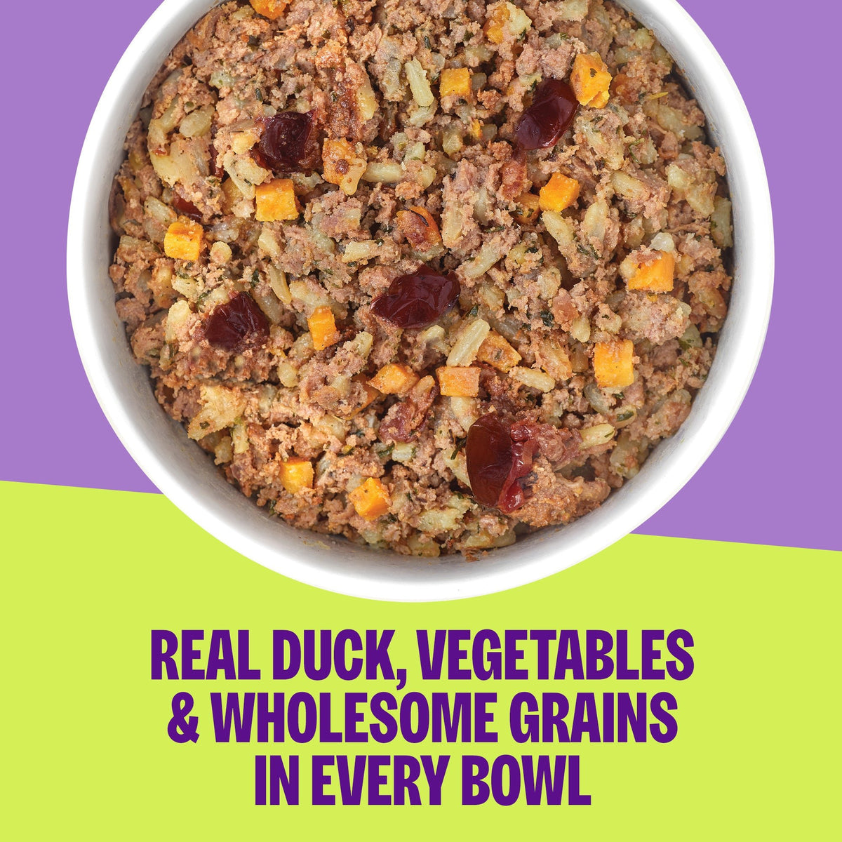 WELLNESS DUCK SWPOT BOWL 6.2Z - RJ Paddywacks