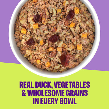 WELLNESS DUCK SWPOT BOWL 6.2Z - RJ Paddywacks