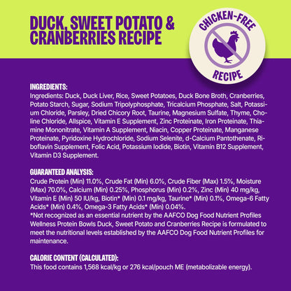 WELLNESS DUCK SWPOT BOWL 6.2Z - RJ Paddywacks