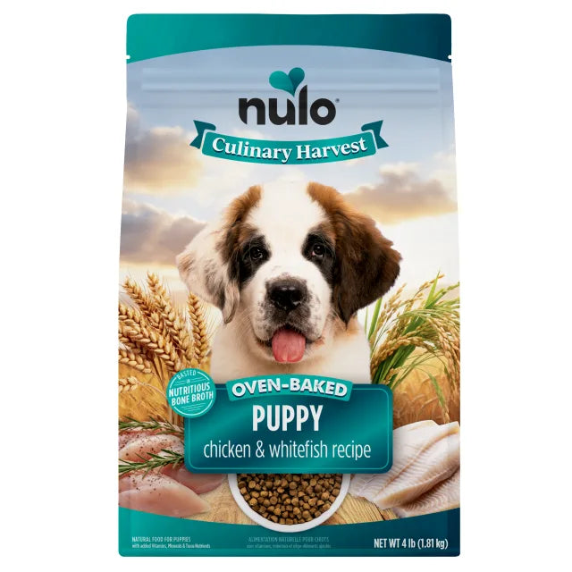 NULO CULINARY PUP CH/WHFSH 4#