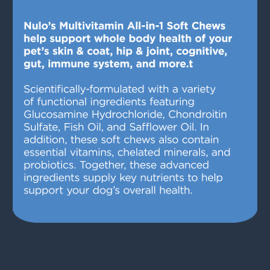 NULO MULTI-V CHEW 9.5Z