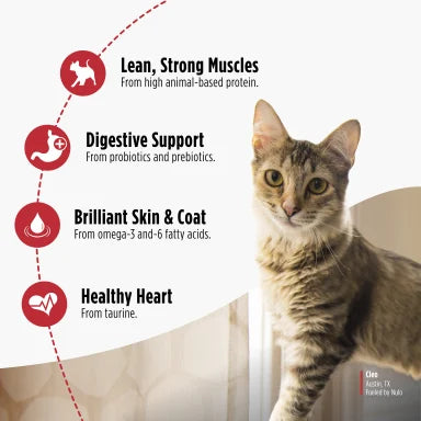 NULO CAT INDOOR DUCK LENTIL 2#