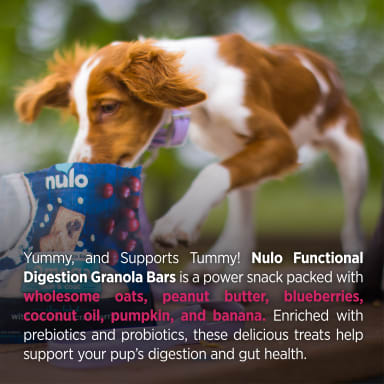 NULO GRANOLA PUM/BAN DIGEST