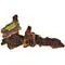 ZML ORNAMENTAL AQ MOPANI 6-8" - RJ Paddywacks
