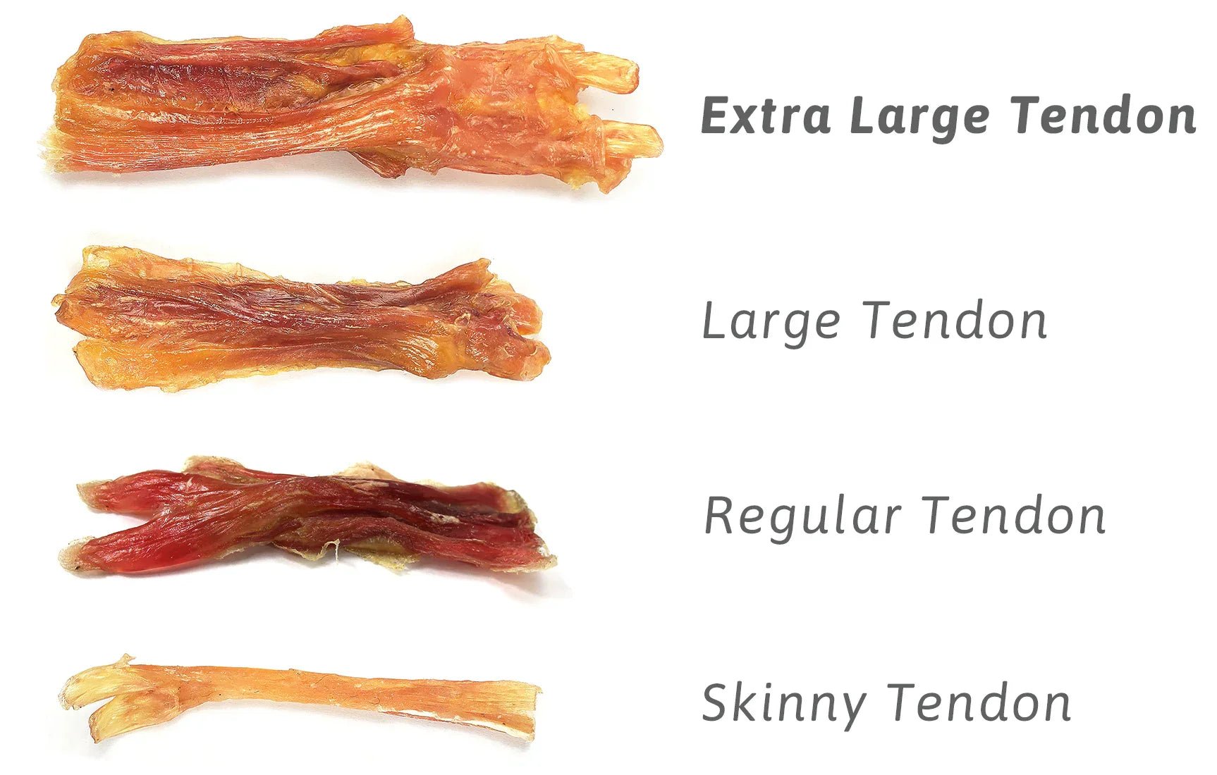 9" XL BEEF TENDON - RJ Paddywacks